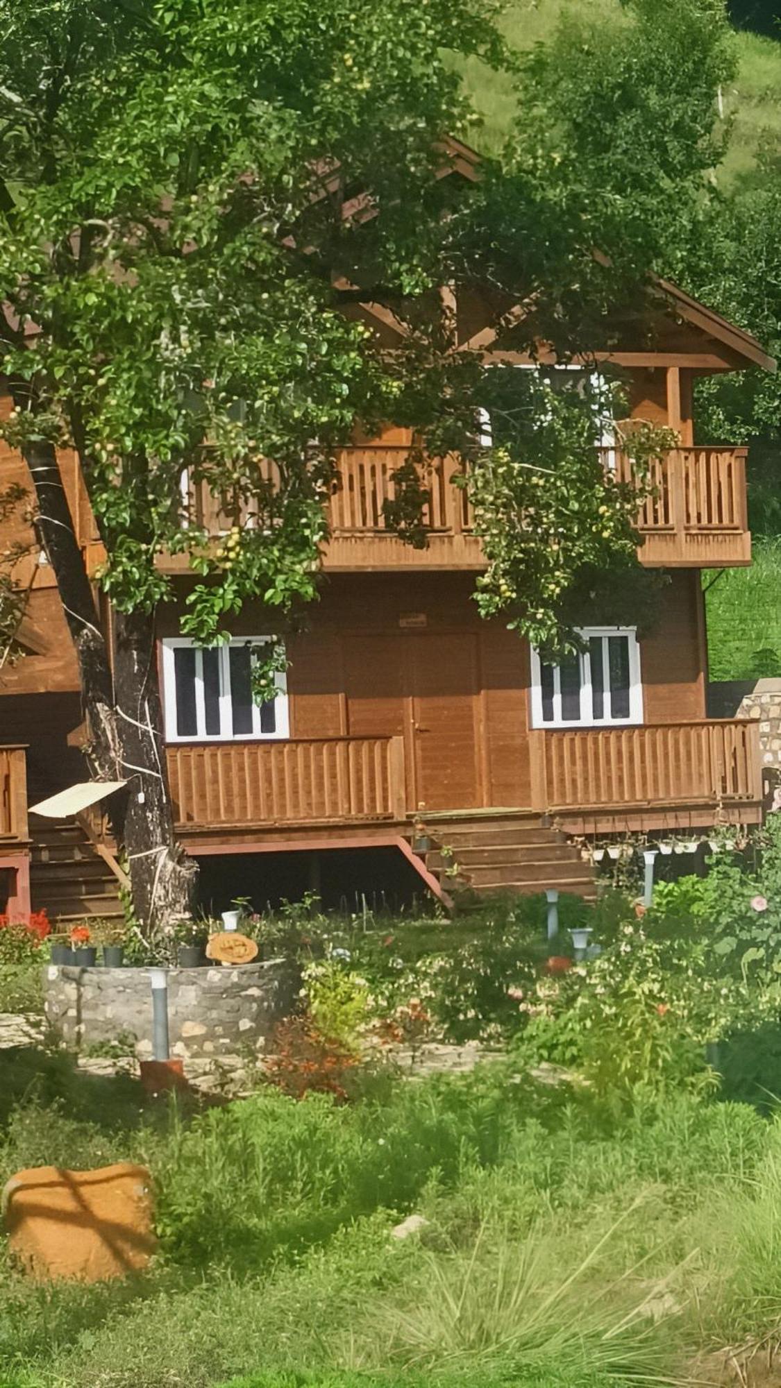 Vanprastha Resorts Dwarahat Dış mekan fotoğraf