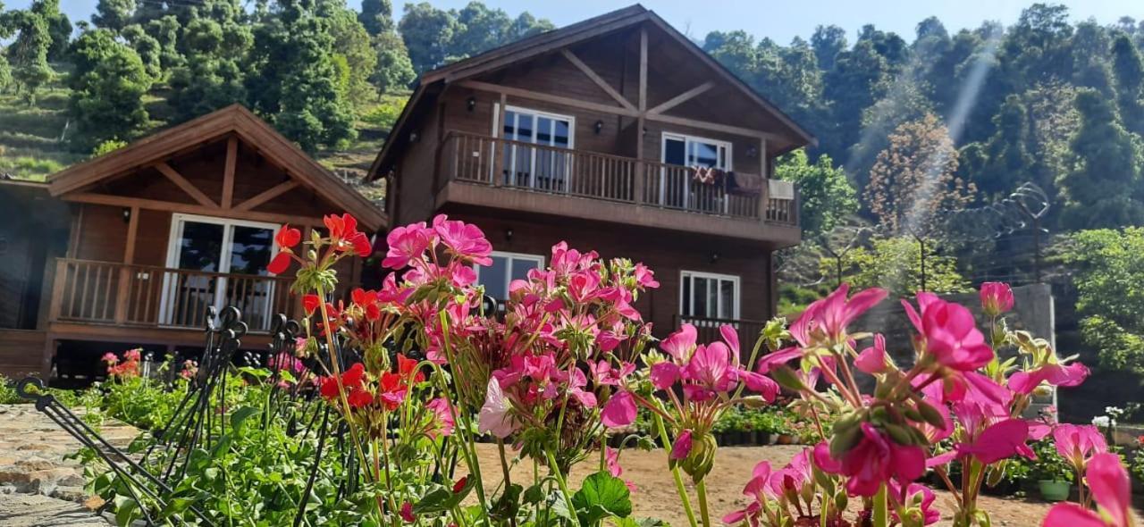 Vanprastha Resorts Dwarahat Dış mekan fotoğraf